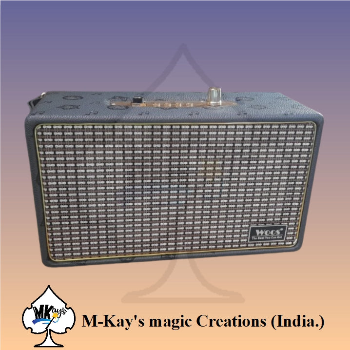 Personal Audio System for Magical Performances